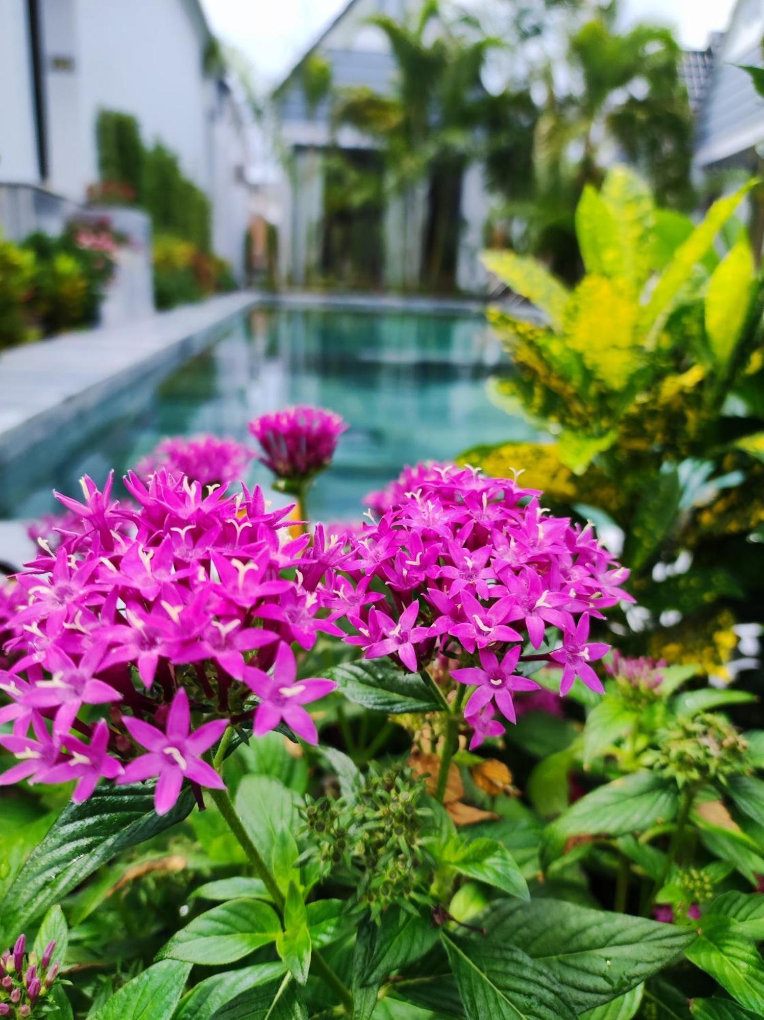 Ngoc Trai Xanh Bungalow Phu Quoc Exterior photo